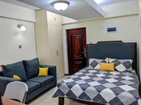Comfortable fully-equipped studio with free wifi, gym & amazing rooftop views